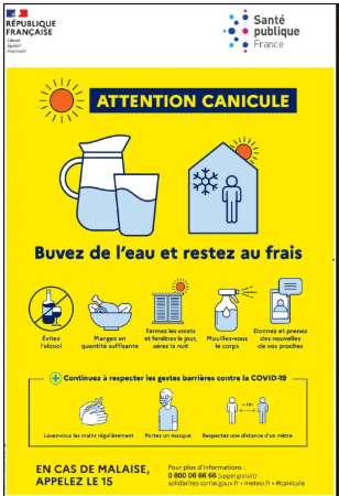 canicule.jpeg